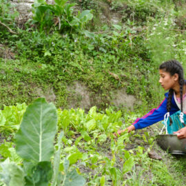 Gartenarbeit Kundalinee School (c) Weltweitwandern Wirkt!